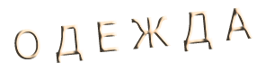 Одежда